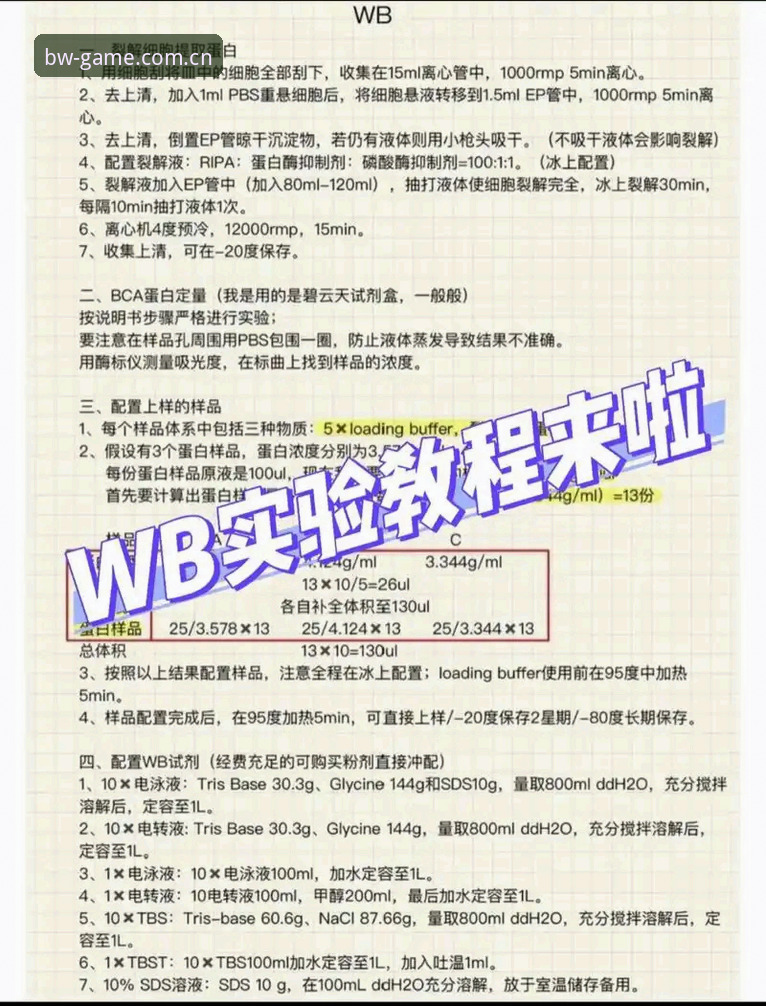 BW体育注册教程常见问题 博万体育平台注册流程深度评测:解决BW体育注册教程常见问题的实战指南